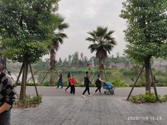 -枫香湖儿童公园