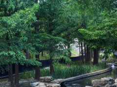 -白水寺森林公园