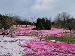 -棒棰岛宾馆景区