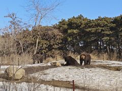 -沈阳森林动物园