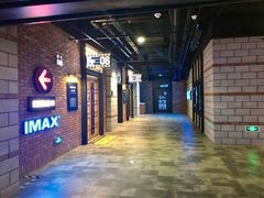 -CGV影城(壹方城IMAX店)