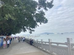 -南沙蒲洲花园