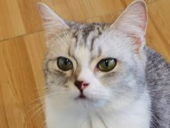 -喵小馆·猫咖狗咖猪咖·饮品店