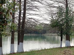 -苏州太湖国家湿地公园