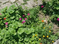 -沕沕水生态风景区