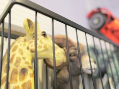 -吃饼人西餐(南开店)