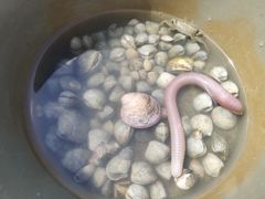-红树林天天赶海