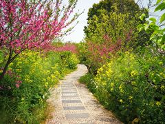 -南汇桃花村