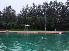 -柳浪游泳场