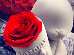 -ROSEONLY诺誓(青岛万象城店)