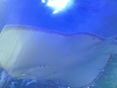 -洛阳龙门海洋馆