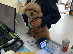 -美联众合动物医院·24h京西诊疗中心