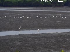 -东寨港红树林旅游区