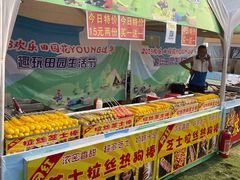 -光明小镇欢乐田园