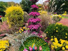 -上海共青森林公园