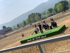 -大连铭湖国际观光牧场