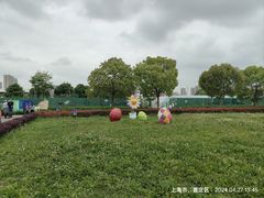 -菊园百果园