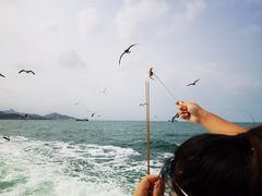 -海驴岛(荣成市)