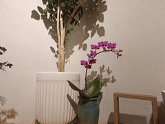 -十二舍·湯物素煮(江泰潤政店)