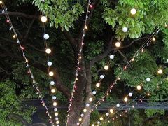 -叶氏香辣蟹·龙虾·烧烤(晨阳路店)
