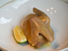 -子福慧(虹桥店)