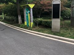 -青枫公园