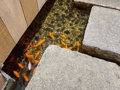 -邈墨茶馆(凤起路店)