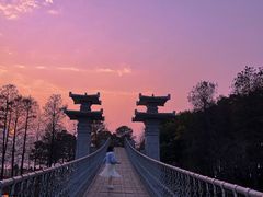 -东湖落雁景区