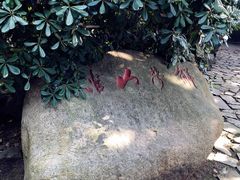 -鼋头渚风景区-王昆仑故居