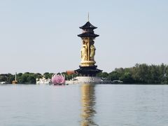 -溱湖国家湿地公园