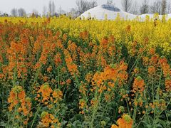 -中国天府农业博览园