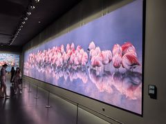 -罗红摄影艺术馆