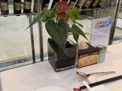 -红菜坊·烤鸭·川鲁宴(石园店)