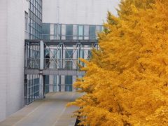 -四川大学(望江校区)