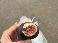 -大观篆新农贸市场