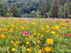 -贵阳市花溪国家城市湿地公园