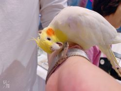-Moni星球萌宠·小马宝莉·灵蛇·高端高阶全萌宠互动体验俱乐部(红豆国际广场店)