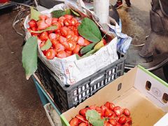 -老炳·七丛松甘草水果