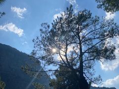 -重庆睡佛山森林公园