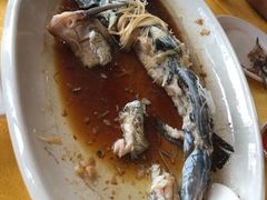 -胖大姐黄辣丁鱼庄(新津店)