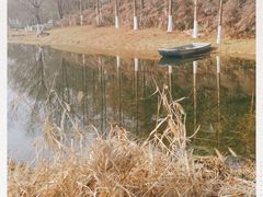 -洋湖国家湿地公园