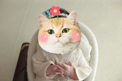-小熊维尼高端儿童摄影(宝安旗舰店)