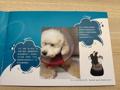 -美联众合动物医院·24h转诊中心