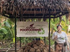 -大象粑粑造纸公园