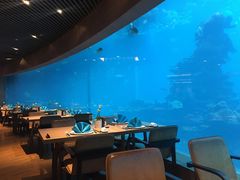 -海棠湾洲际-涛·海底餐厅·美人鱼·自助餐·海底隧道