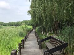 -太湖湖滨国家湿地公园-停车场