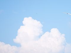 -瑶湖郊野森林公园