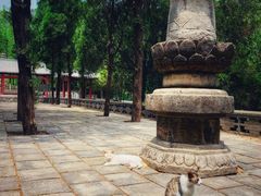 -四门塔风景区