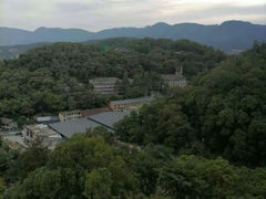 -金鸡山公园