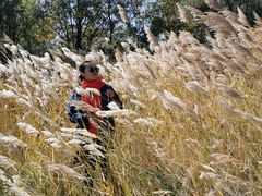 -亿利库布其七星湖沙漠生态旅游区